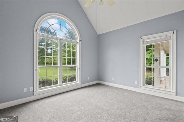 2333 Old Newnan Rd, Carrollton, GA 30116 - unfurnished room featuring plenty of natural light, carpet, and lofted ceiling