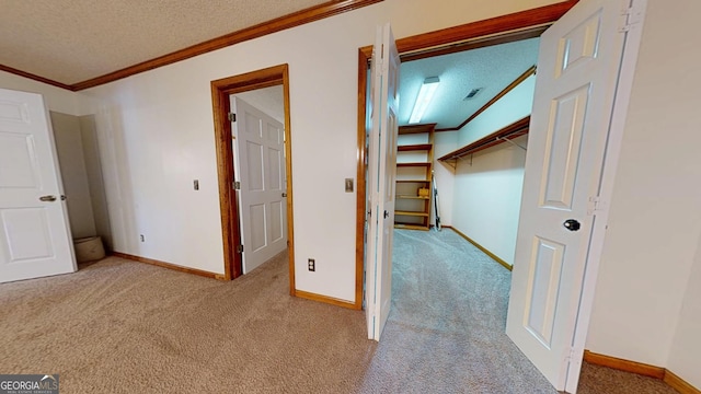 26 Ben Blvd, Swainsboro, GA 30401 - corridor with crown molding, carpet flooring, and a textured ceiling