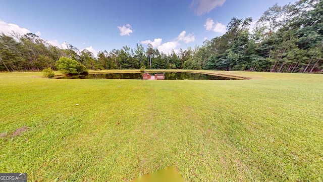 26 Ben Blvd, Swainsboro, GA 30401 - view of green lawn with a water view