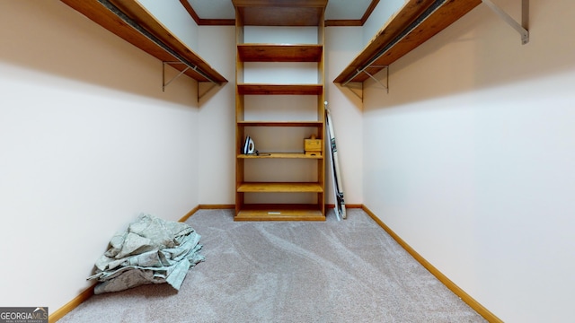 26 Ben Blvd, Swainsboro, GA 30401 - spacious closet featuring light colored carpet