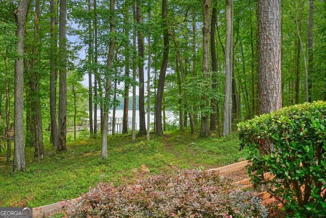 627 Apache Trl, Woodstock, GA 30189 - view of yard with a water view
