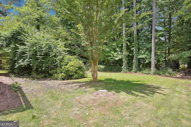 3611 Radcliffe Blvd, Decatur, GA 30034 - view of grassy yard