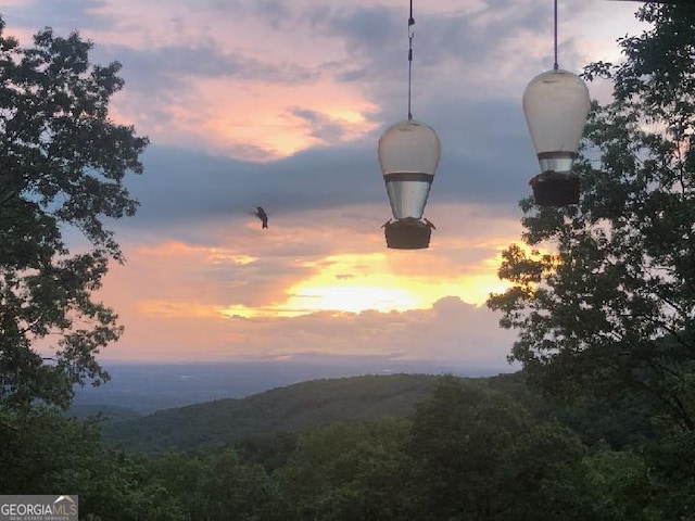 539 Dowel Cir, Ellijay, GA 30540 - mountain view