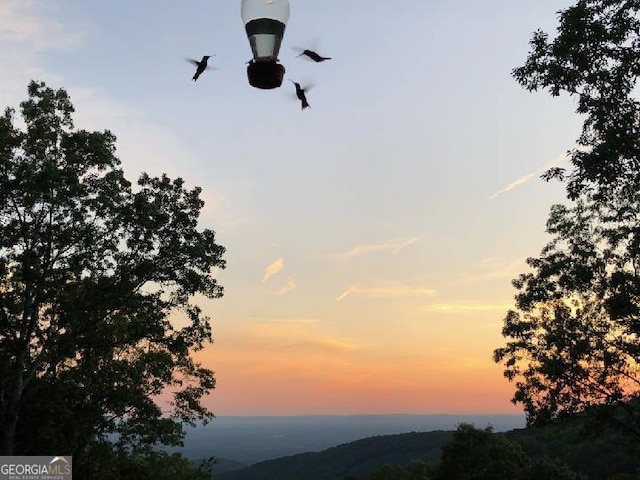 539 Dowel Cir, Ellijay, GA 30540 - view of mountain backdrop