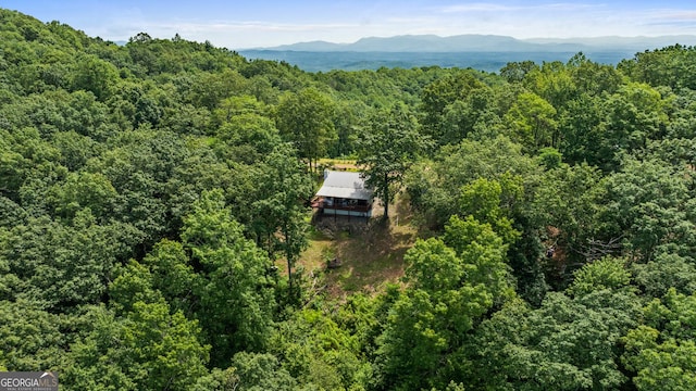 539 Dowel Cir, Ellijay, GA 30540 - view of subject property with a forest and a mountainous background