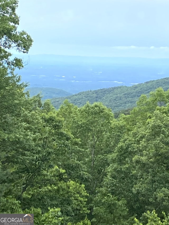539 Dowel Cir, Ellijay, GA 30540 - mountain view featuring a heavily wooded area