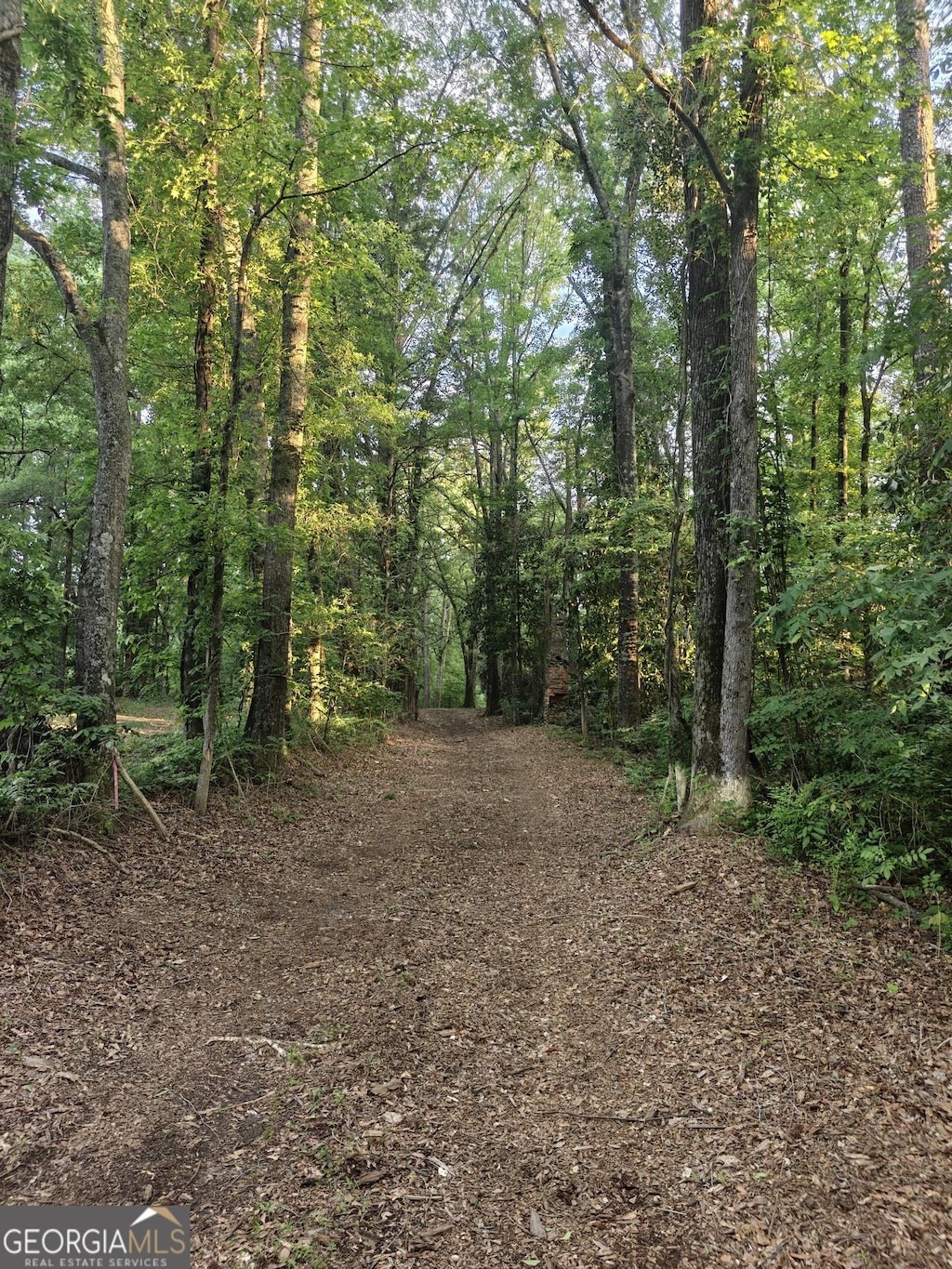 0 Quick Dr, Senoia, GA 30276
