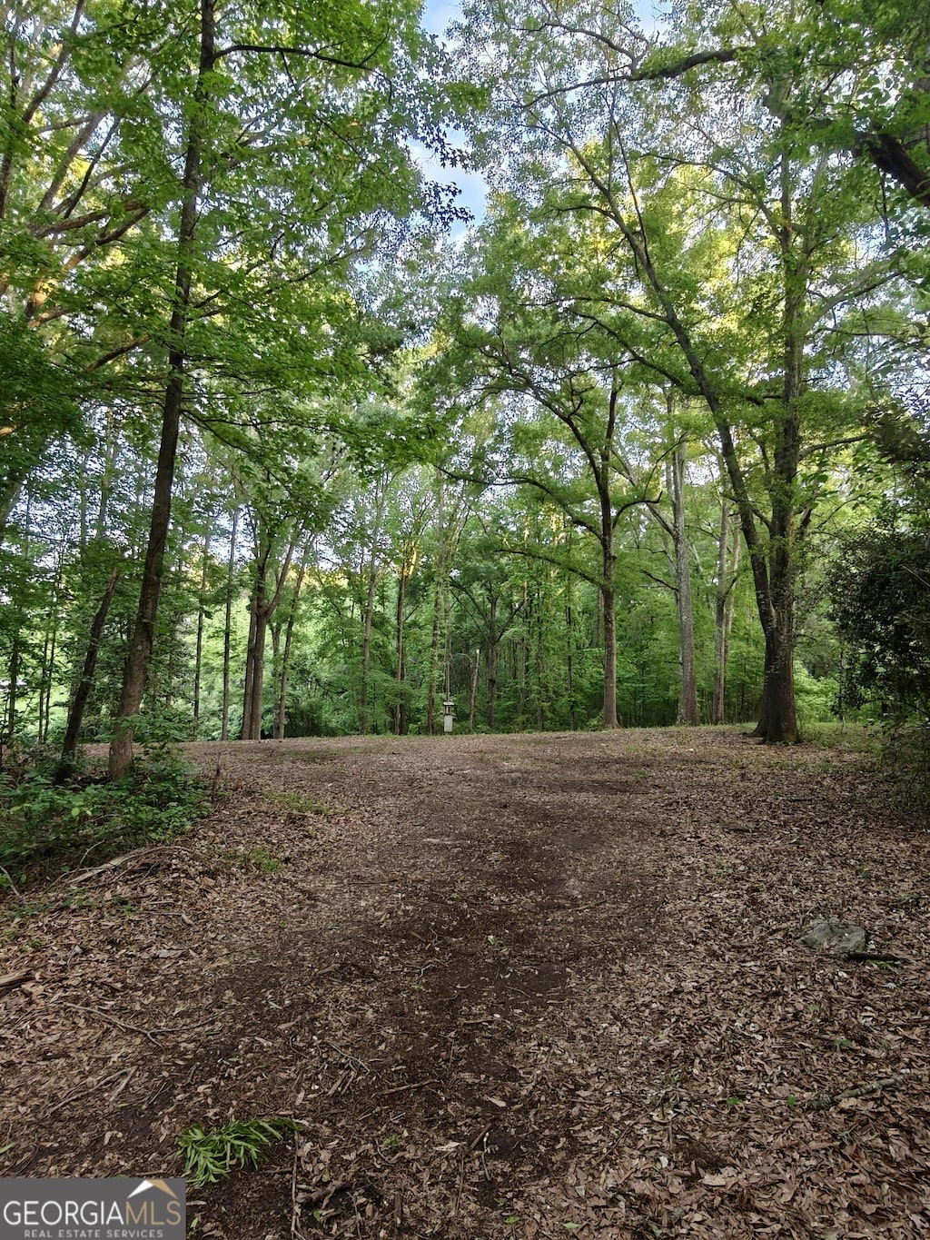 0 Quick Dr, Senoia, GA 30276