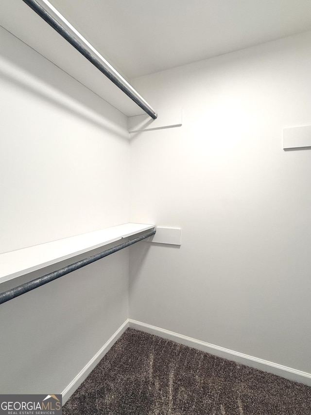 83 Austin Ct, Dahlonega, GA 30533 - spacious closet with dark carpet