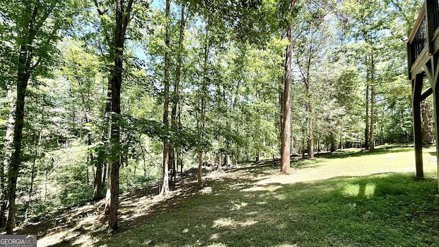 83 Austin Ct, Dahlonega, GA 30533 - view of grassy yard