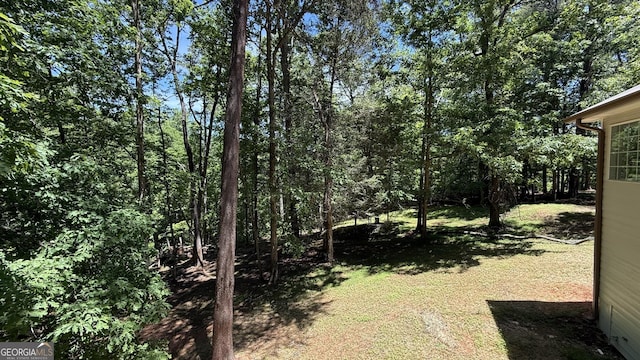 83 Austin Ct, Dahlonega, GA 30533 - view of yard