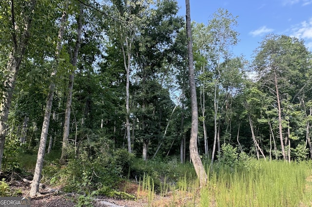 LOT6 Parker Pt, Cornelia, GA 30531