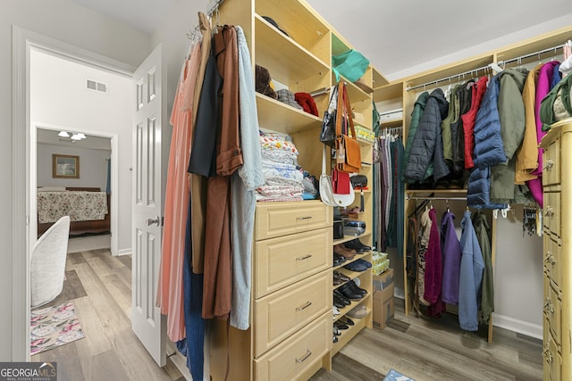 58 Lilyfield Ln, Acworth, GA 30101 - walk in closet with light wood-style floors