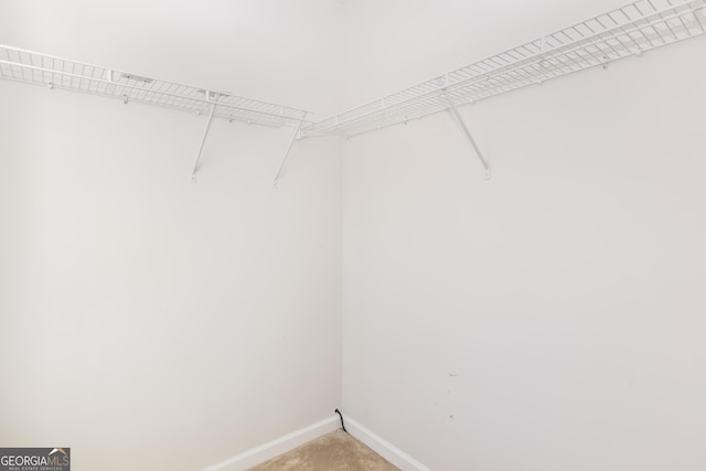 8810 Brookhurst Trl, Gainesville, GA 30506 - walk in closet with light colored carpet