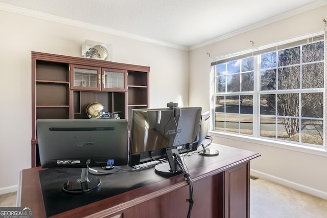 8810 Brookhurst Trl, Gainesville, GA 30506 - office space featuring light colored carpet and ornamental molding