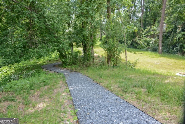 2557 Avery Park Cir, Atlanta, GA 30360 - view of property's community