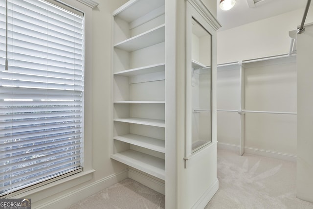 118 Fire Creek Trl, Senoia, GA 30276 - walk in closet featuring carpet flooring