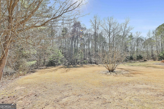 118 Fire Creek Trl, Senoia, GA 30276 - view of undeveloped land