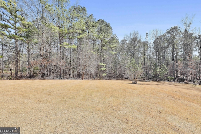 118 Fire Creek Trl, Senoia, GA 30276 - view of grassy yard