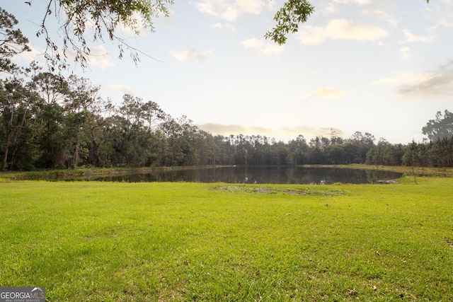 313 White Pine Highway, Nicholls, GA 31554 - view of green lawn featuring a water view and a wooded view