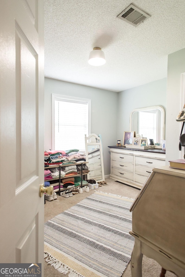 313 White Pine Highway, Nicholls, GA 31554 - home office with plenty of natural light, light carpet, and a textured ceiling