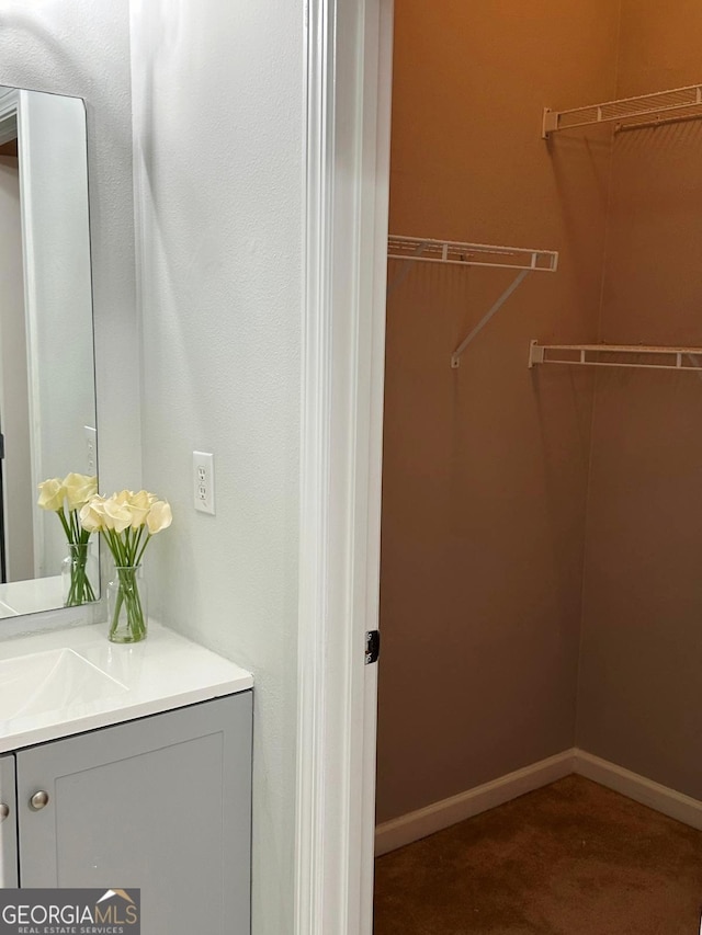 6834 White Walnut Way, Braselton, GA 30517 - spacious closet with a sink