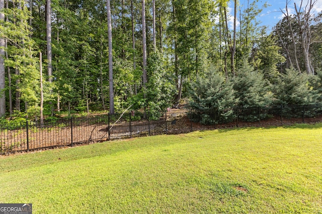150 Dean Dr, Tyrone, GA 30290 - view of yard
