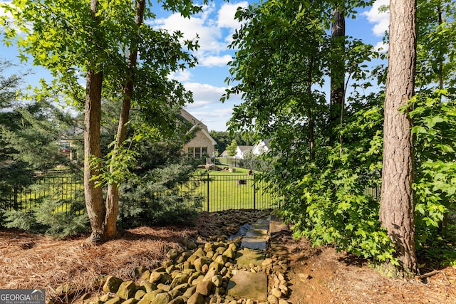 150 Dean Dr, Tyrone, GA 30290 - view of yard
