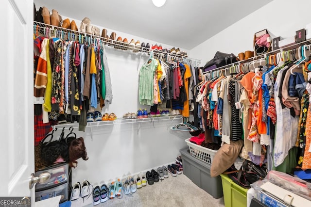 1936 Lakeshore Overlook Cir NW, Kennesaw, GA 30152 - walk in closet with carpet floors