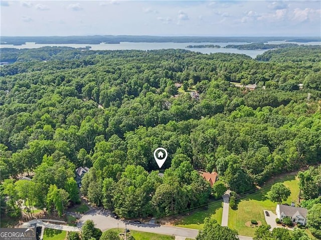 6030 Terrace Lake Pt, Flowery Branch, GA 30542 - aerial view of a heavily wooded area
