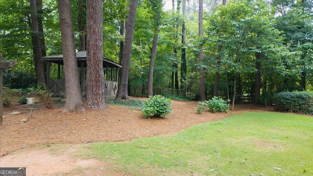 2179 Mountclaire Ct, Stone Mountain, GA 30087 - view of yard