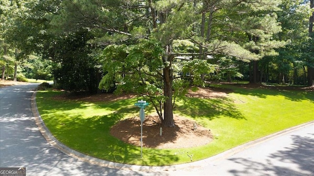 2179 Mountclaire Ct, Stone Mountain, GA 30087 - view of home's community with a lawn and view of scattered trees