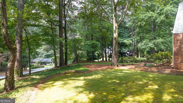2179 Mountclaire Ct, Stone Mountain, GA 30087 - view of grassy yard
