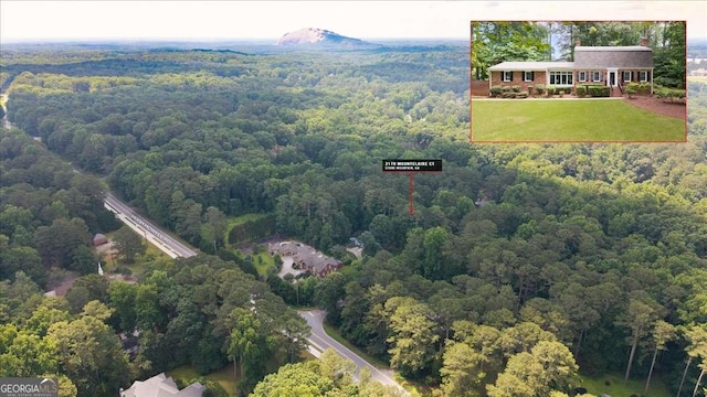 2179 Mountclaire Ct, Stone Mountain, GA 30087 - drone / aerial view of a forest