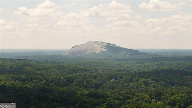 2179 Mountclaire Ct, Stone Mountain, GA 30087 - view of mountain backdrop featuring a forest