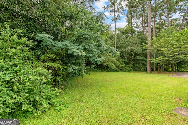 23-25 Sentry Oak Ct, Stockbridge, GA 30281 - view of grassy yard