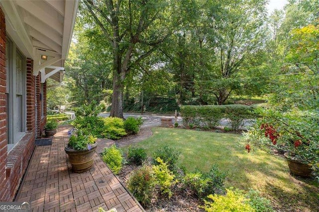 1300 N Ave NE, Atlanta, GA 30307 - view of grassy yard