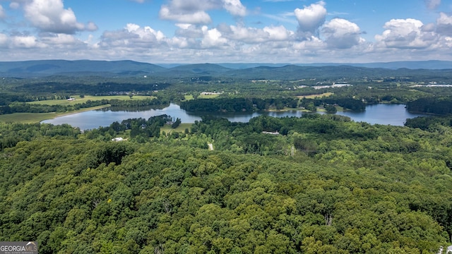 4384 Round Pond Rd, Lafayette, GA 30728 - bird's eye view of a water and mountain view