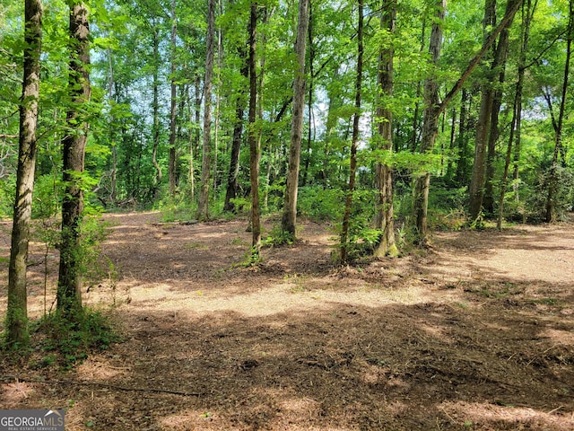 2200 Rest Haven Rd, Yatesville, GA 31097