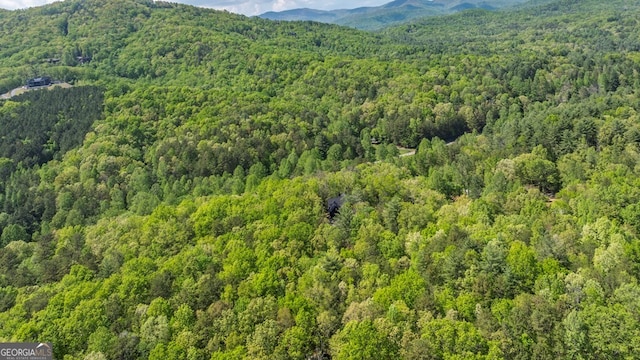 595 Arp Rd, Mineral Bluff, GA 30559 - view of mountain background with a forest