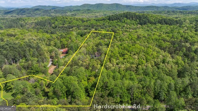 595 Arp Rd, Mineral Bluff, GA 30559 - view of property location with property boundaries highlighted and a mountain backdrop
