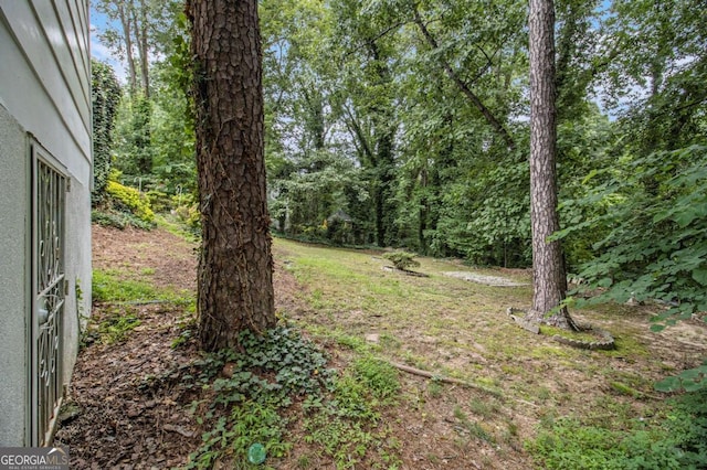 2983 Peek Rd NW, Atlanta, GA 30318 - view of yard