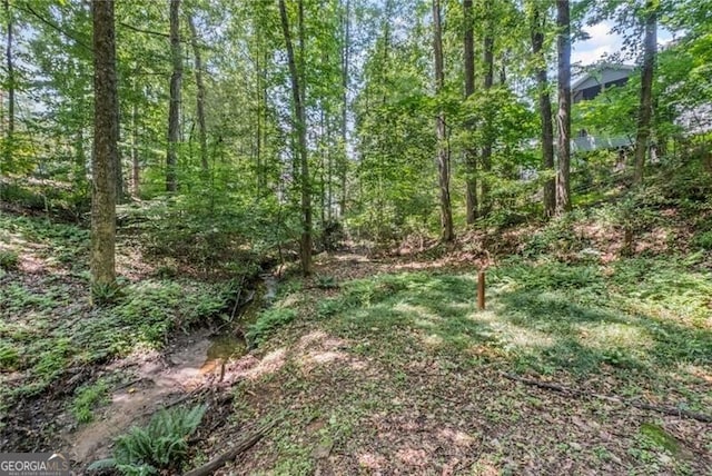 1279 Colony Pl, Marietta, GA 30068 - view of nature