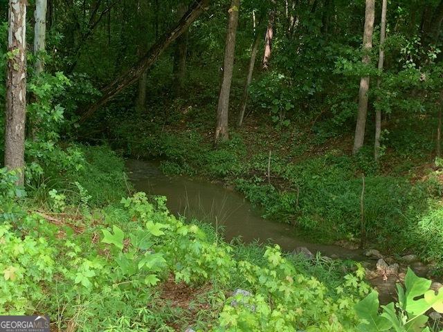 148 Powder Creek Way, Dallas, GA 30157 - view of local wilderness