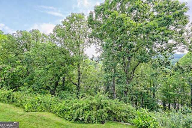 33 Berkshire Ln, Dillard, GA 30537 - view of yard with a forest view