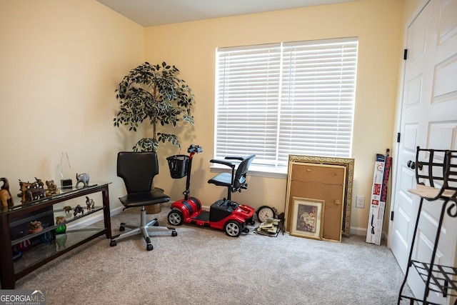 126 Savannah Way, Milner, GA 30257 - workout area featuring carpet floors