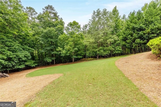 930 Shepards Ct, Roswell, GA 30075 - view of green lawn
