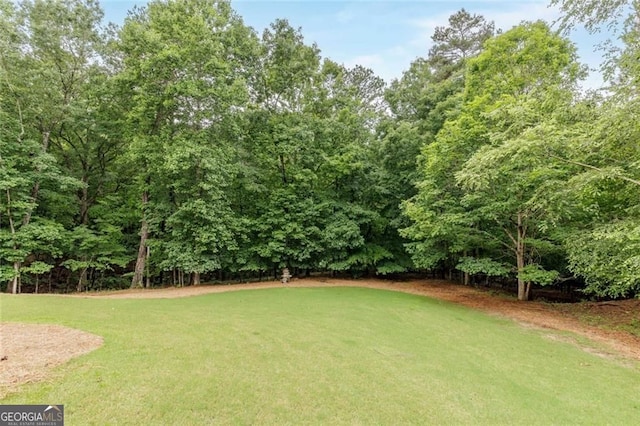 930 Shepards Ct, Roswell, GA 30075 - view of green lawn