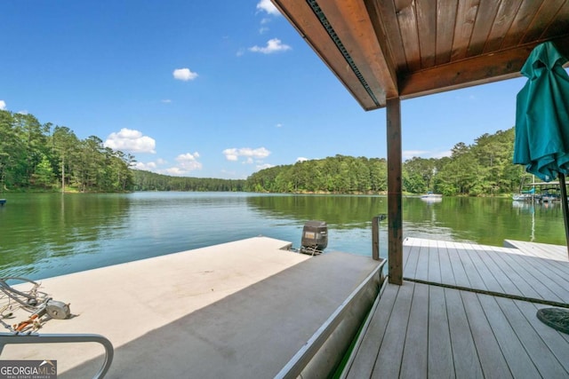 451 Wilderness Camp Rd, White, GA 30184 - dock featuring a water view and a view of trees