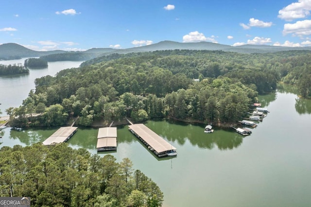 451 Wilderness Camp Rd, White, GA 30184 - aerial view of a heavily wooded area and a water and mountain view